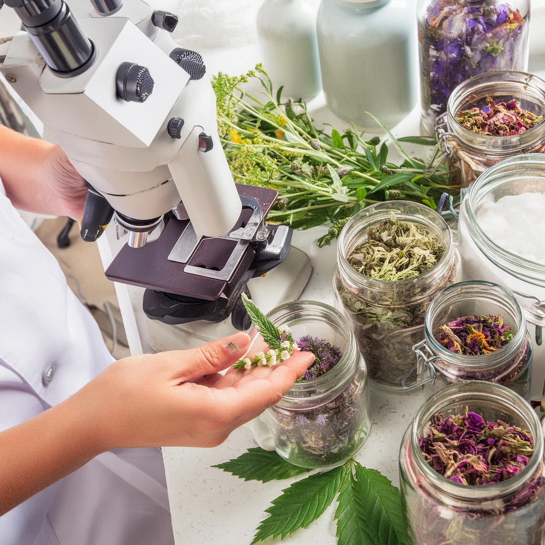 L’integratore giusto per l’intestino infiammato